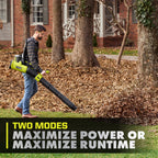 40V HP Brushless 850 CFM WHISPER SERIES Backpack Blower Kit