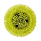 MEDIUM BRISTLE ROUND BRUSH image