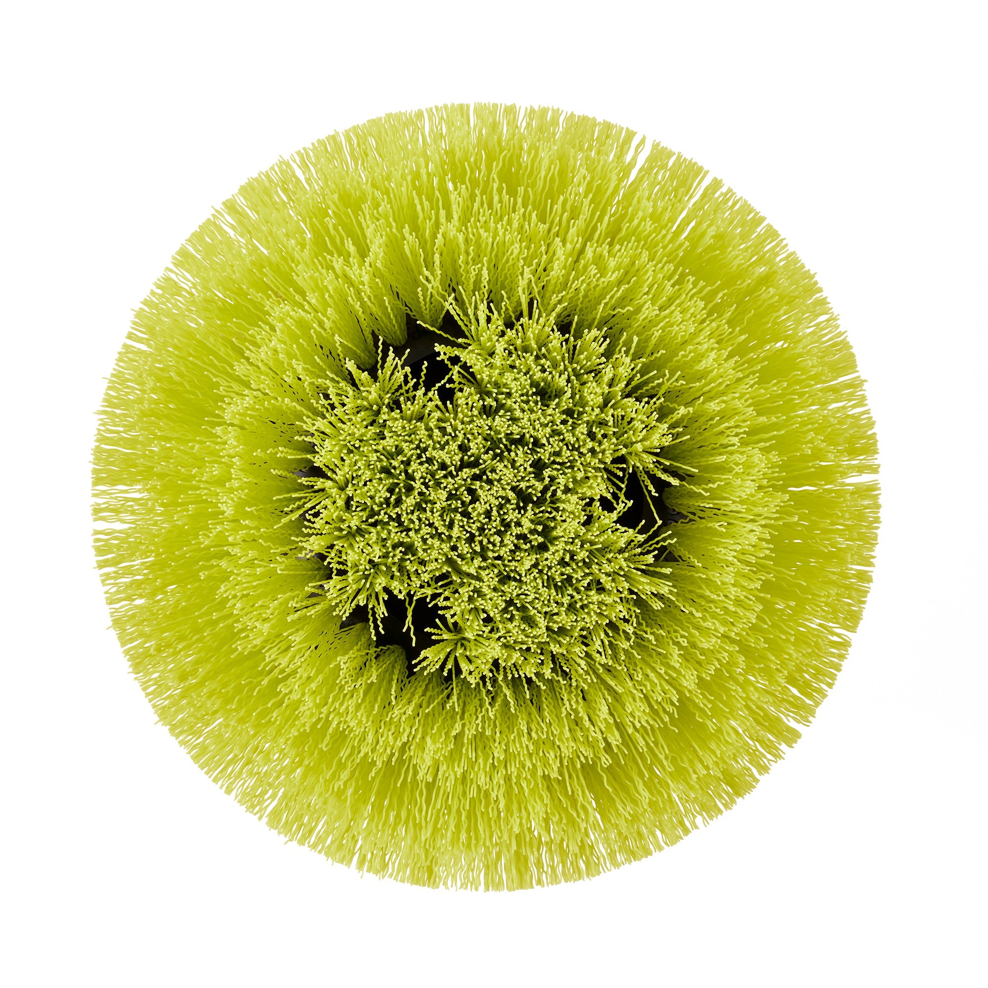 MEDIUM BRISTLE ROUND BRUSH image