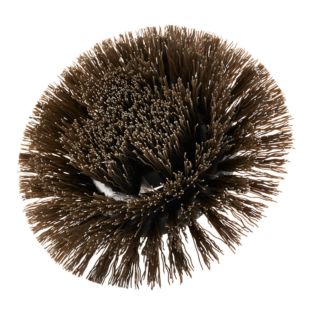 BROSSE RONDE À POILS DURS