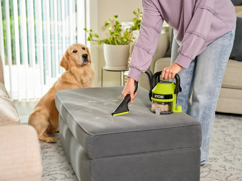 Pet Hair Pickup