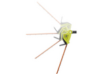 40V 18" POLE HEDGE TRIMMER  Image 11