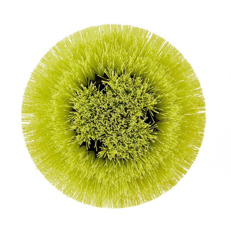 Medium Bristles