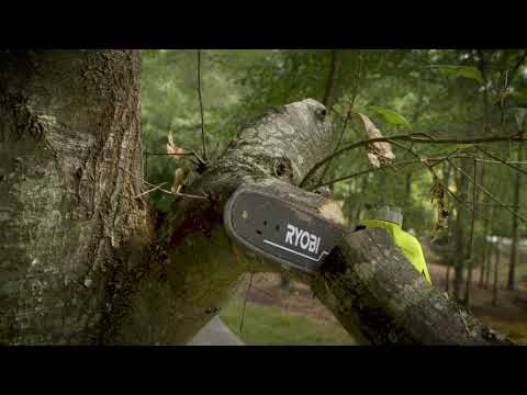 40V 10" POLE SAW  video