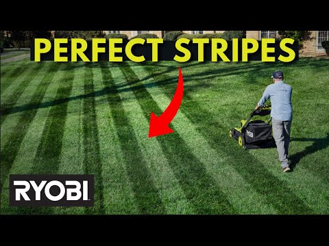 RAYURE DE TONDEUSE À GAZON 20-21"